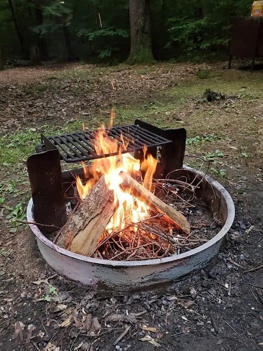 DAR Campgrounds Picture 8