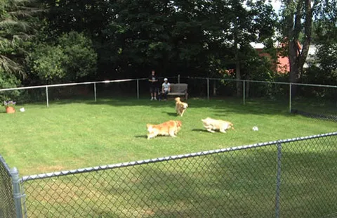 Brattleboro North KOA Journey Picture 3