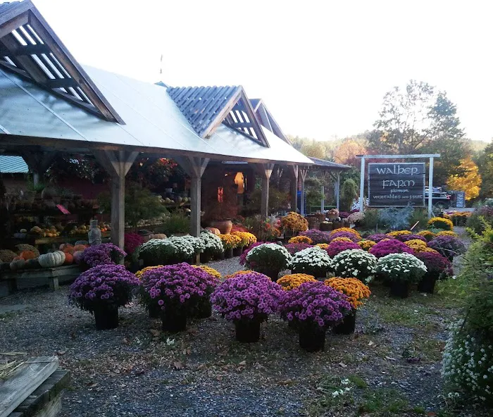 Brattleboro North KOA Journey Picture 5