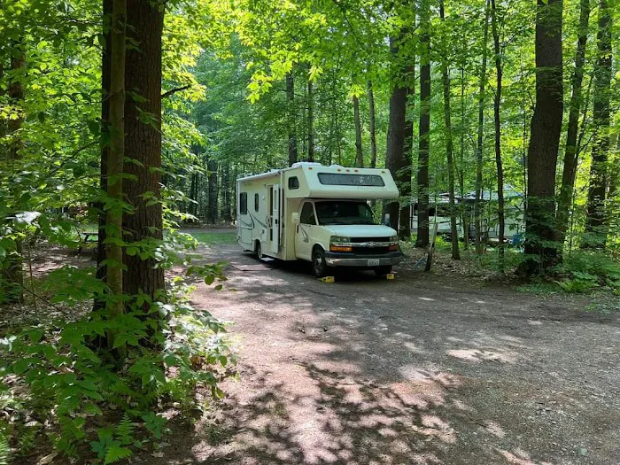 Tree Farm Campground Picture 5