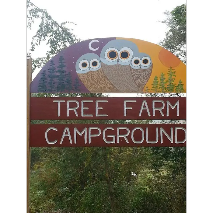Tree Farm Campground Picture 7