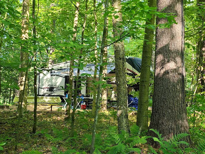 Tree Farm Campground Picture 10