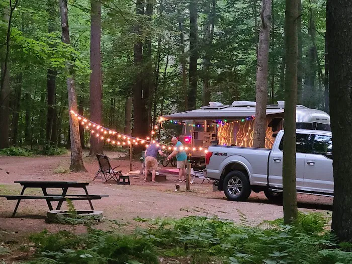 Tree Farm Campground Picture 8