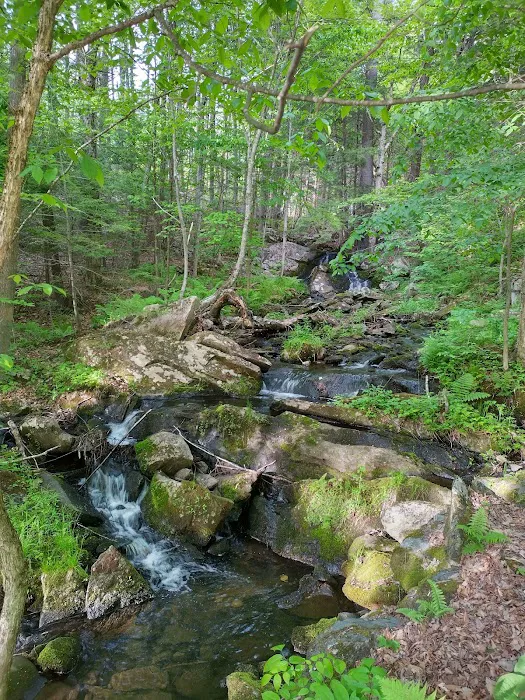 Crown Point Camping Area Picture 3