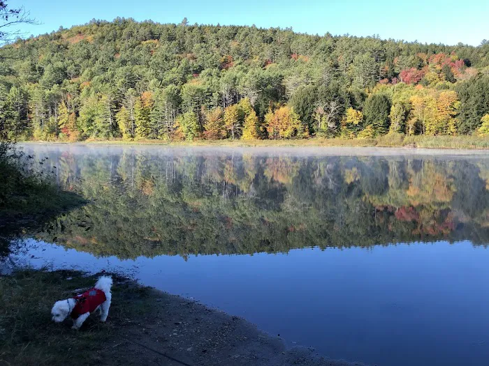 Crown Point Camping Area Picture 9