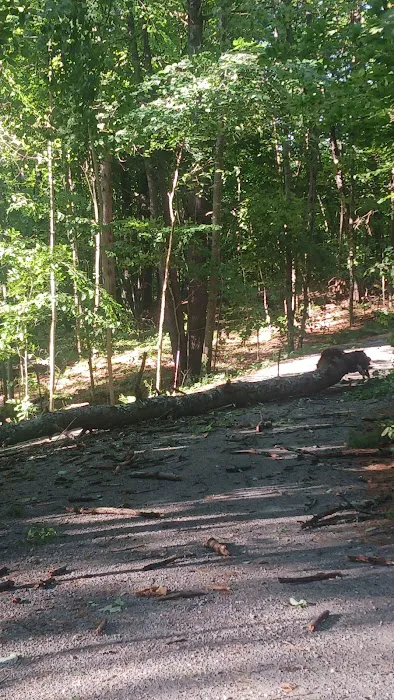 Mount Ascutney State Park Campground Picture 1