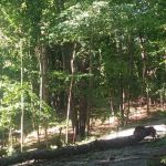 Mount Ascutney State Park Campground