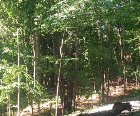 Mount Ascutney State Park Campground