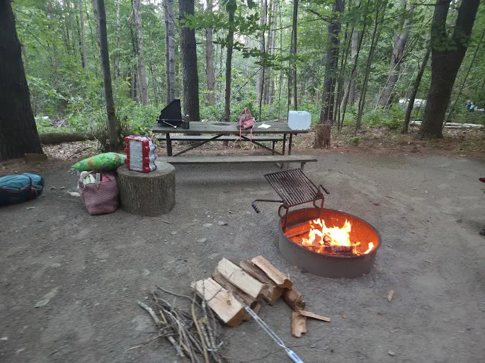 Mount Ascutney State Park Campground Picture 4