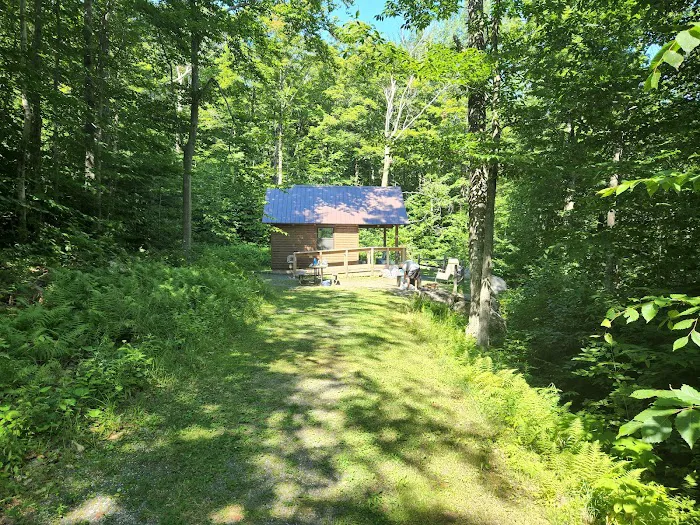 Mount Ascutney State Park Campground Picture 8