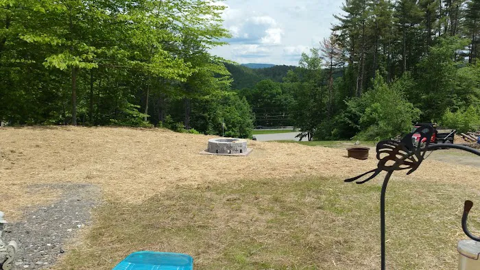 Running Bear Camping Area Picture 4