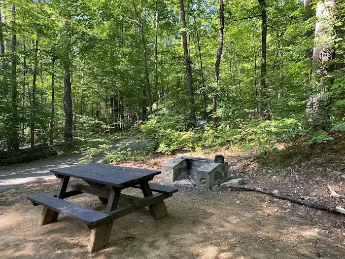 Hearthstone Point Campground Picture 5