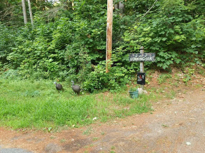 Hearthstone Point Campground Picture 3