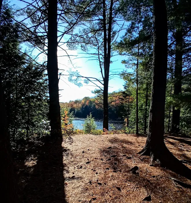 Dippikill Wilderness Retreat Picture 7