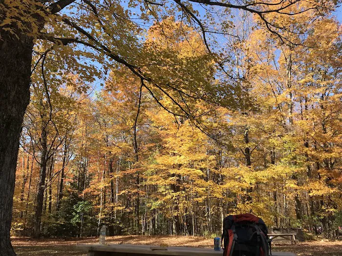 Dippikill Wilderness Retreat Picture 3