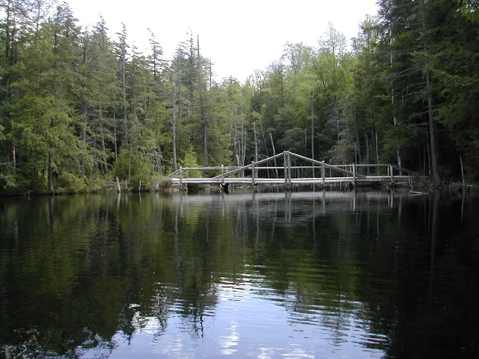 Dippikill Wilderness Retreat Picture 4