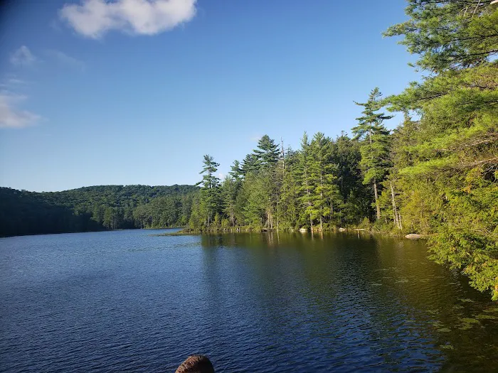 Dippikill Wilderness Retreat Picture 2