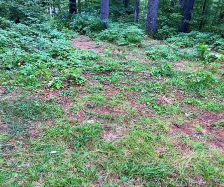 Schroon River Campsites Inc