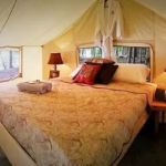 Adirondack Safari