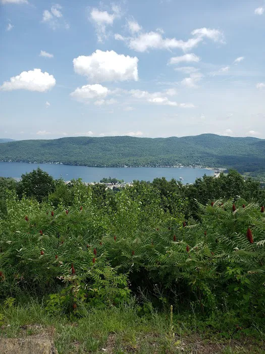 Adirondack Adventure Resort Picture 4