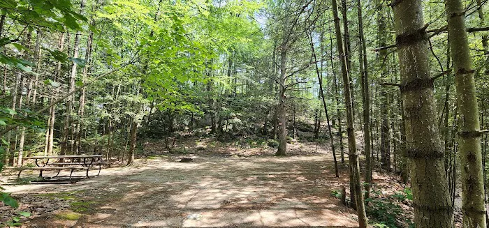 Pioneer Valley RV Campground Picture 8