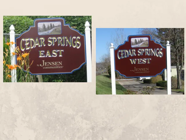 Cedar Springs Picture 4