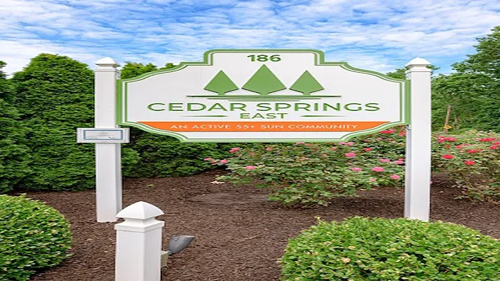 Cedar Springs Picture 6