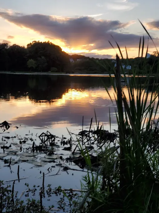 Lakeside Picture 10