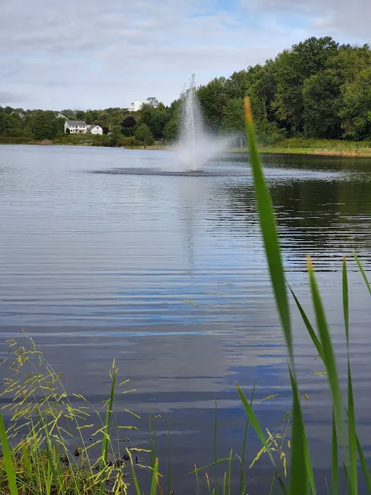 Lakeside Picture 8