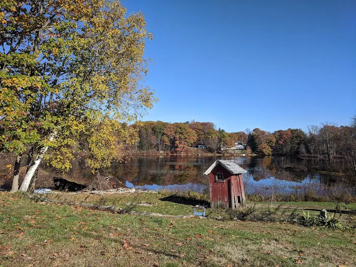 Lakeside Picture 4