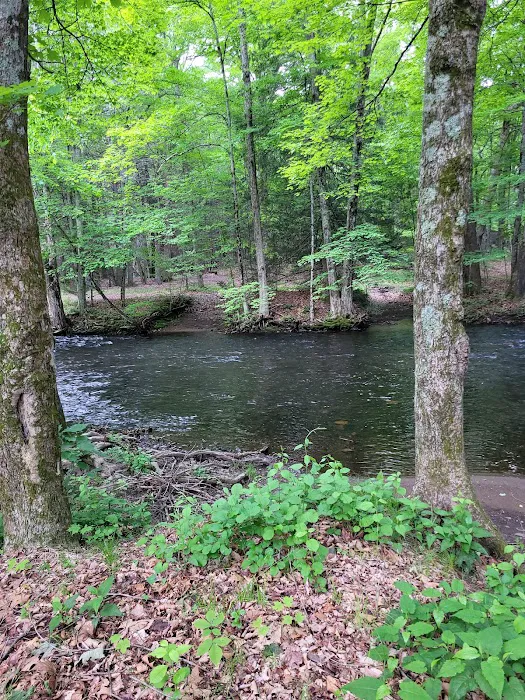 Branch Brook Campground Picture 10