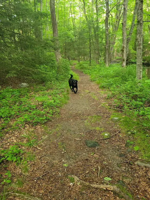 Branch Brook Campground Picture 2