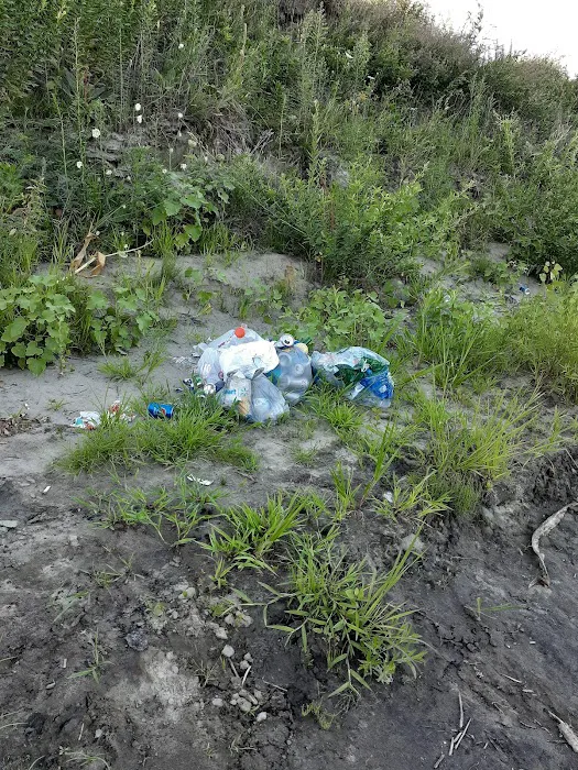 Mitch's Island Picture 1