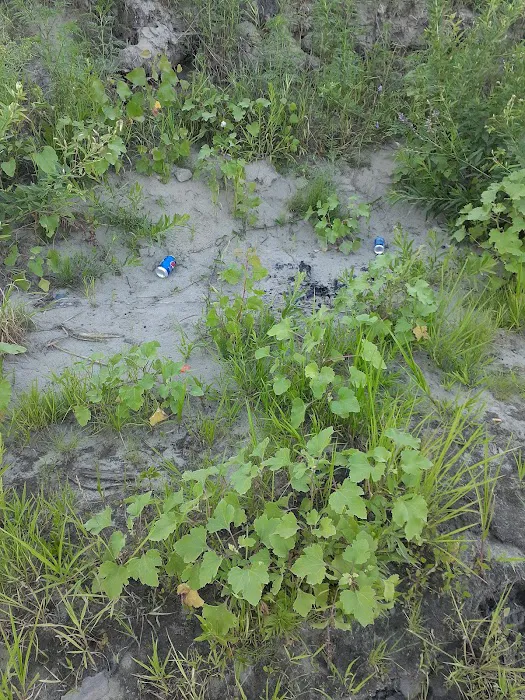 Mitch's Island Picture 2