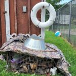 White Birch Campground