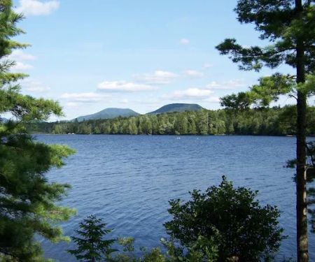 Forked Lake Site 52