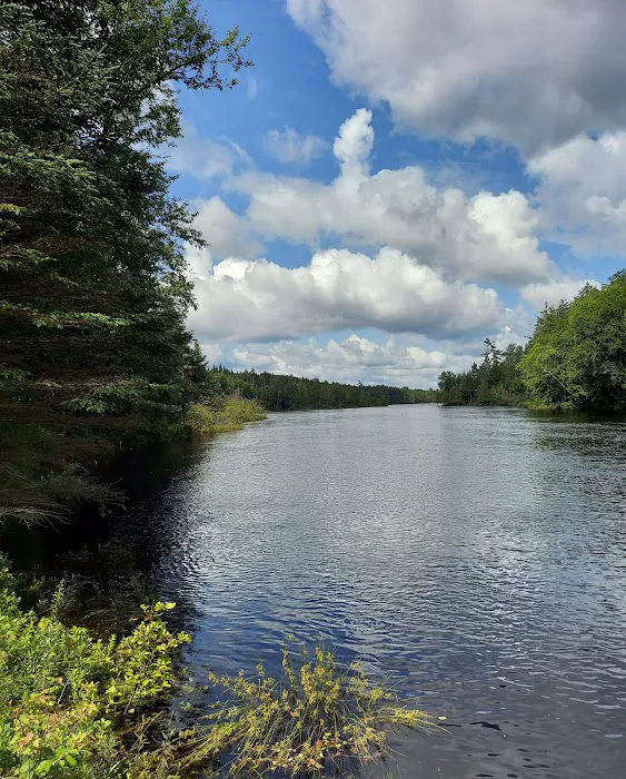 Forked Lake Campground Picture 2