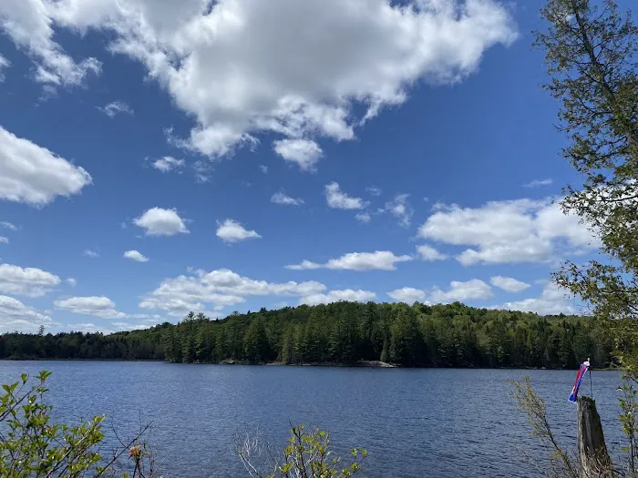 Forked Lake Campground Picture 1