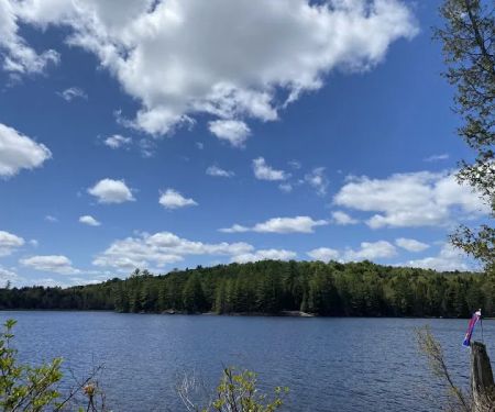 Forked Lake Campground