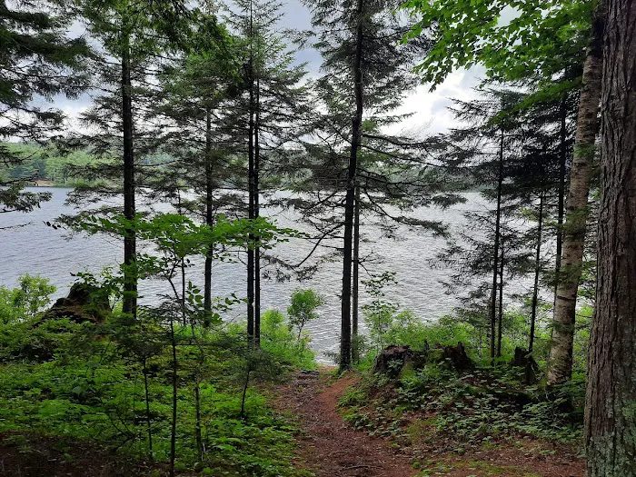 Forked Lake Campground Picture 6