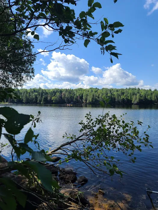 Forked Lake Campground Picture 5