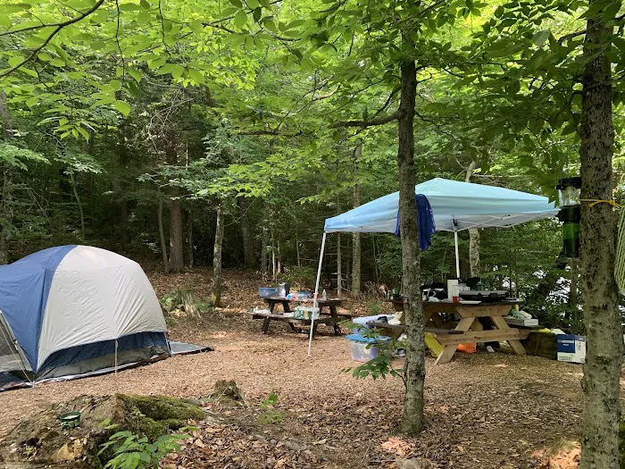 Indian Lake Islands Campground - Campsite #48 Picture 9