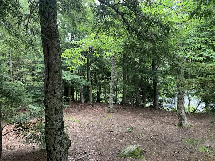 Indian Lake Islands Campground - Campsite #19 Picture 6