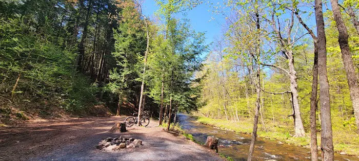 Sweet Song Acres Picture 5
