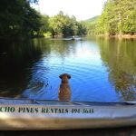 Rancho Pines Campground