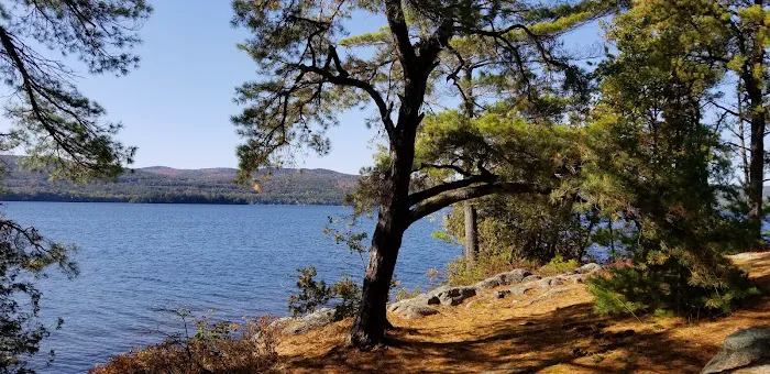 Huckleberry Island Campground Picture 3