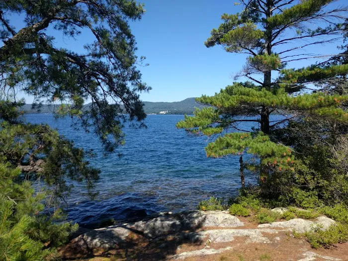 Huckleberry Island Campground Picture 7