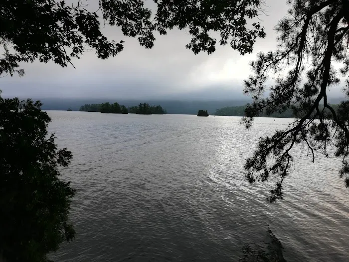 Bass Island Campsite 1 Picture 2