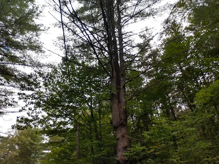Smoke Rise Campground & Cabins Picture 9