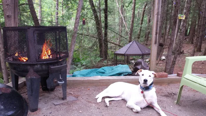 Wakonda Family Campground Picture 10